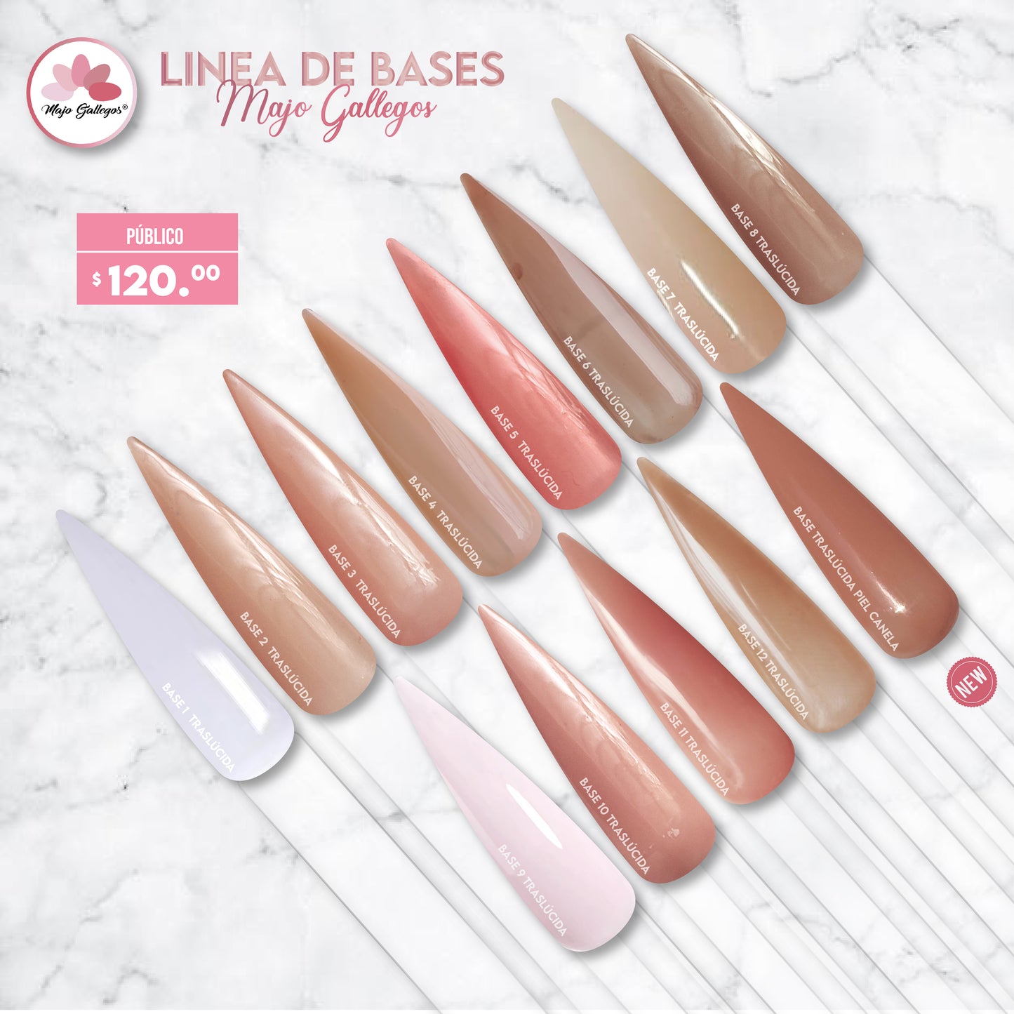 BASES TRASLUCIDAS MAJO GALLEGOS